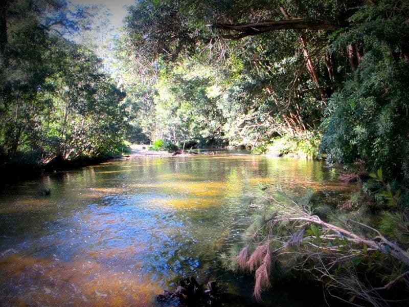 1624 Kalang Rd BELLINGEN NSW, Bellingen - Thumbnail 3