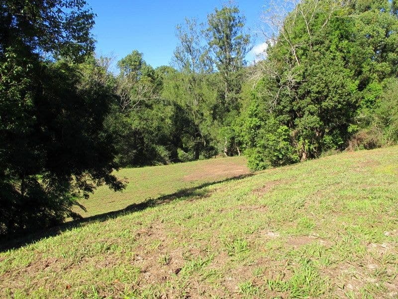 1624 Kalang Rd BELLINGEN NSW, Bellingen - Thumbnail 4