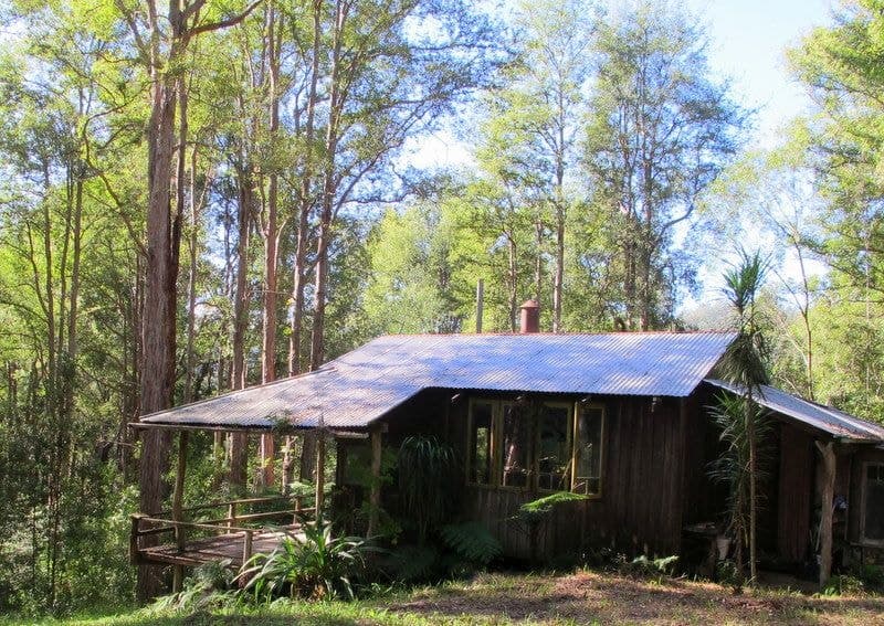 1624 Kalang Rd BELLINGEN NSW, Bellingen - Thumbnail 5