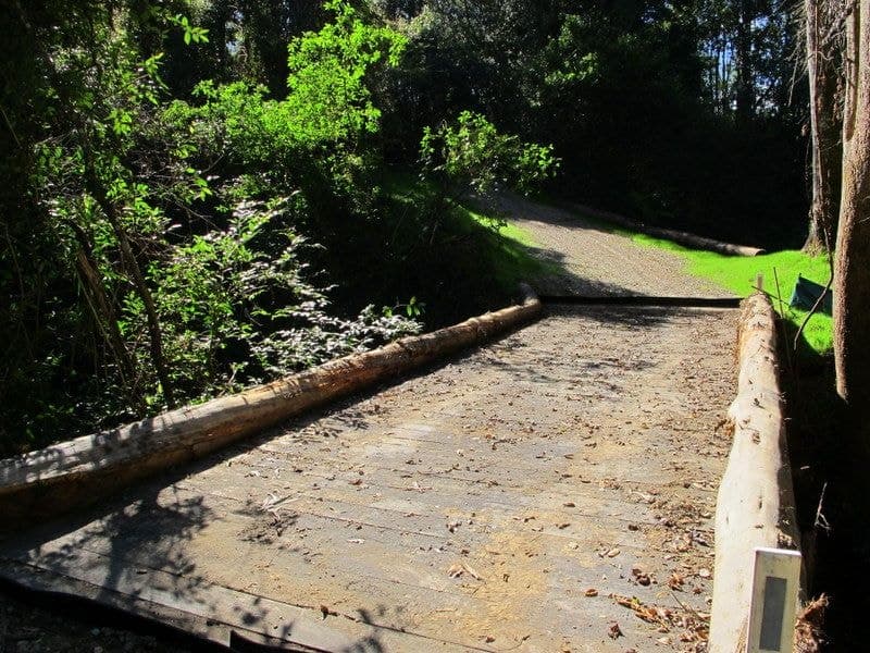1624 Kalang Rd BELLINGEN NSW, Bellingen - Thumbnail 6