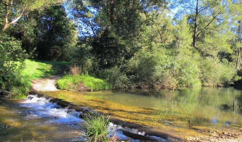 1624 Kalang Rd BELLINGEN NSW, Bellingen - Thumbnail 7