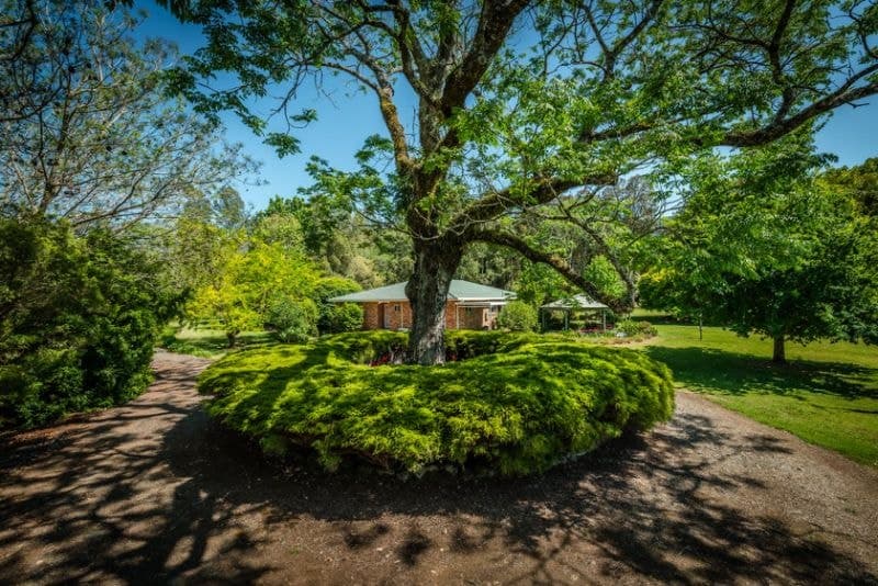52 Buffer Creek Road BELLINGEN NSW, Bellingen - Image 1