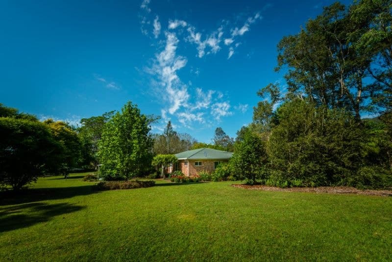 52 Buffer Creek Road BELLINGEN NSW, Bellingen - Thumbnail 5