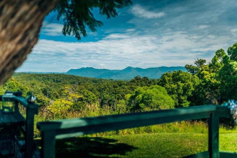 158 Old Brierfield Road BELLINGEN NSW, Bellingen - Thumbnail 5