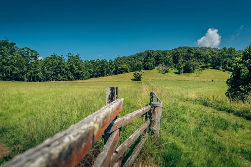 1620 Kalang Road BELLINGEN NSW, Bellingen - Image 1