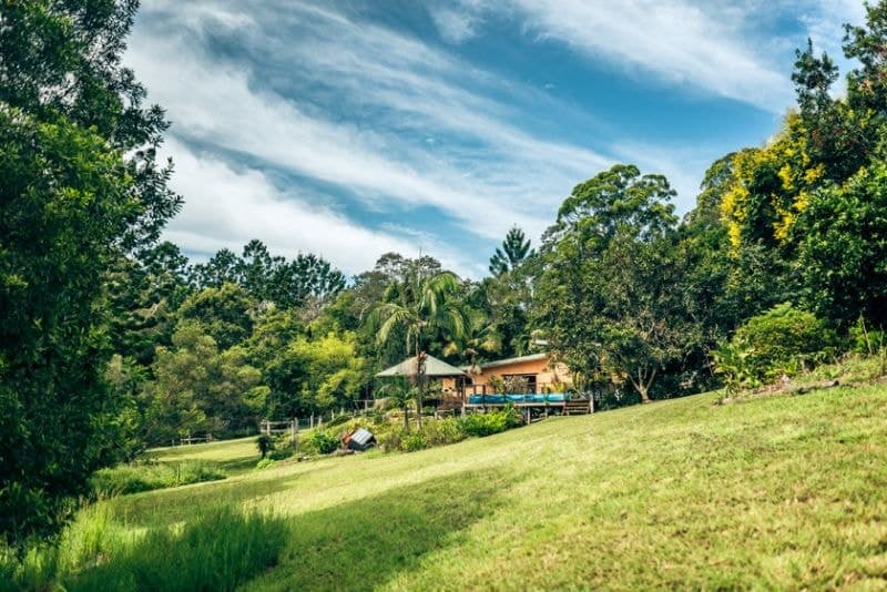 1046 South Arm Road BELLINGEN NSW, Bellingen - Thumbnail 5