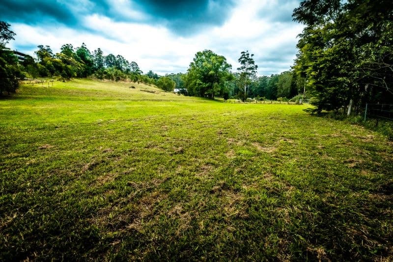 479 Kalang Road BELLINGEN NSW, Bellingen - Thumbnail 7