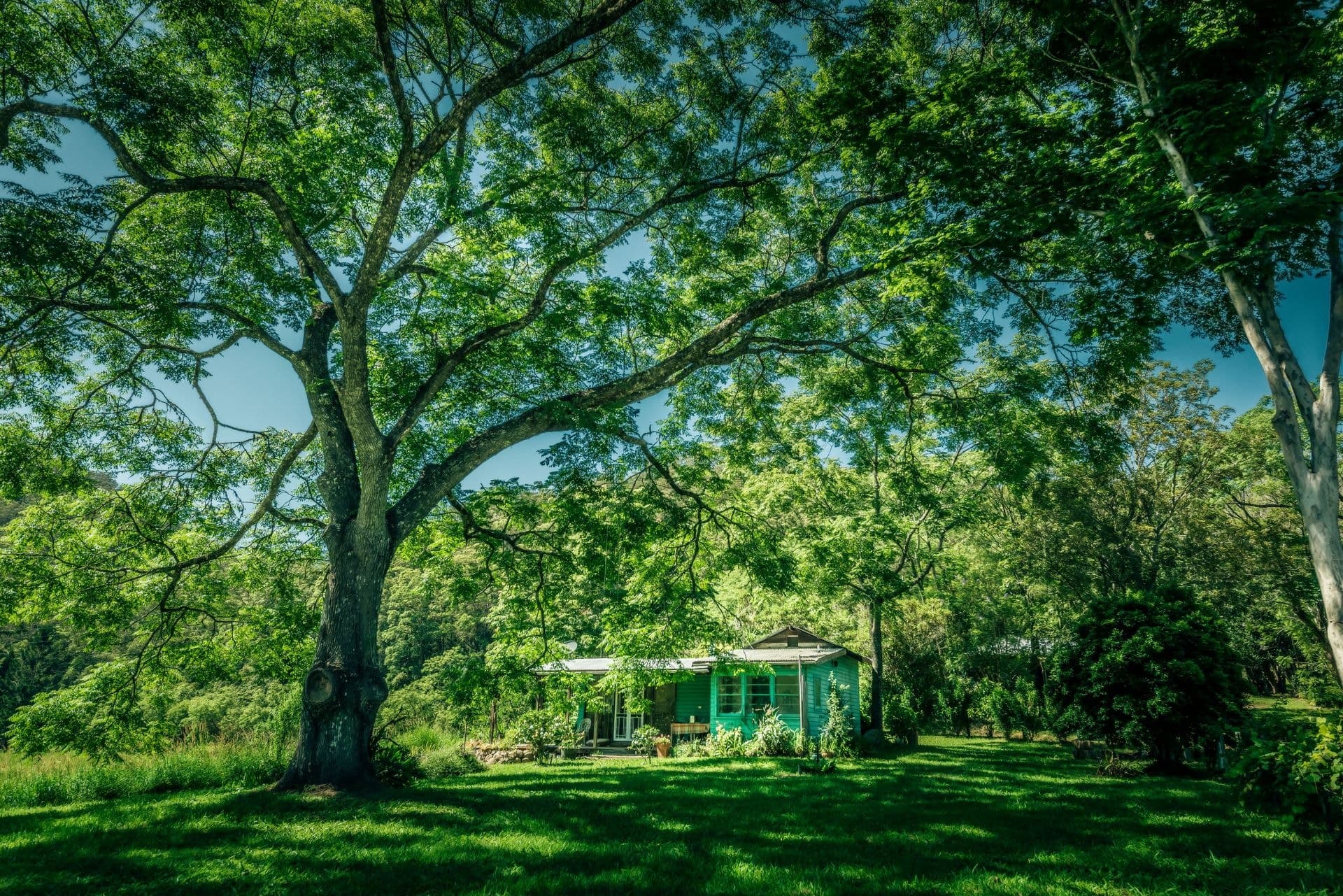 2129 Darkwood Road BELLINGEN NSW, Bellingen - Image 1