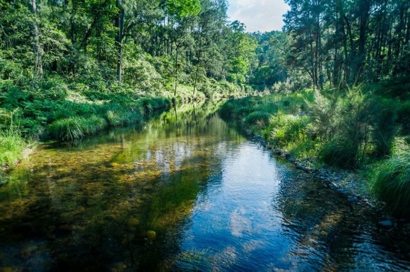 2129 Darkwood Road BELLINGEN NSW, Bellingen - Thumbnail 3