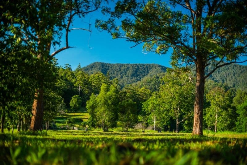 2129 Darkwood Road BELLINGEN NSW, Bellingen - Thumbnail 4