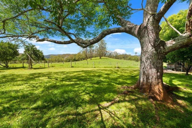 1471 Darkwood Road BELLINGEN NSW, Bellingen - Thumbnail 3