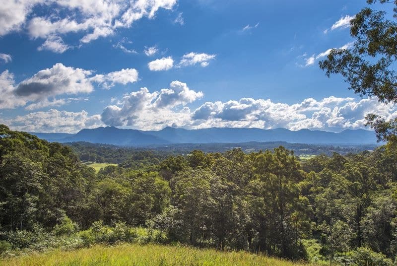 22 Bennett Road BELLINGEN NSW, Bellingen - Thumbnail 4