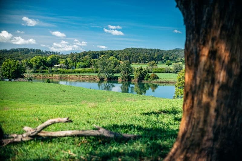 700 North Bank Road BELLINGEN NSW, Bellingen - Thumbnail 2