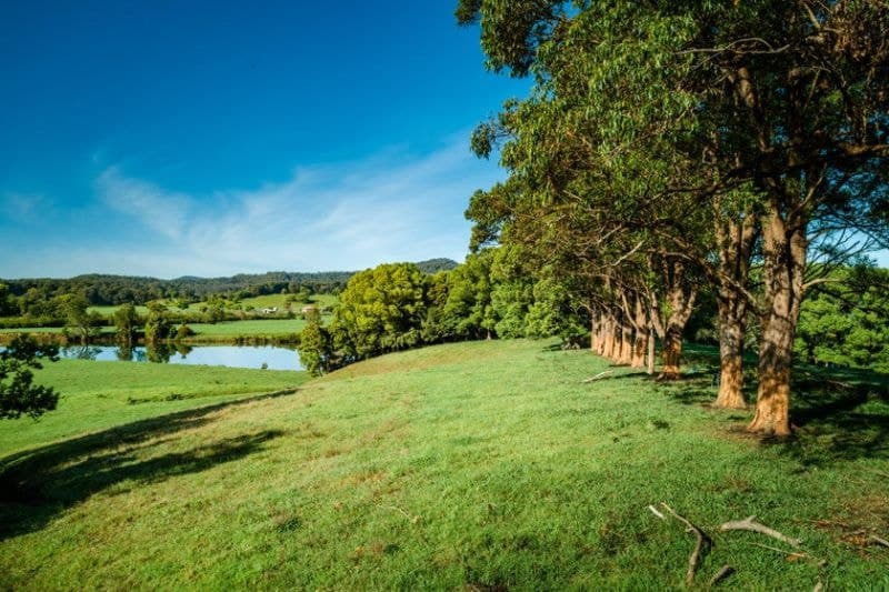 700 North Bank Road BELLINGEN NSW, Bellingen - Thumbnail 6