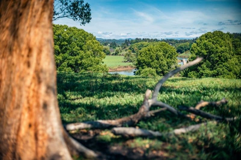 700 North Bank Road BELLINGEN NSW, Bellingen - Thumbnail 7