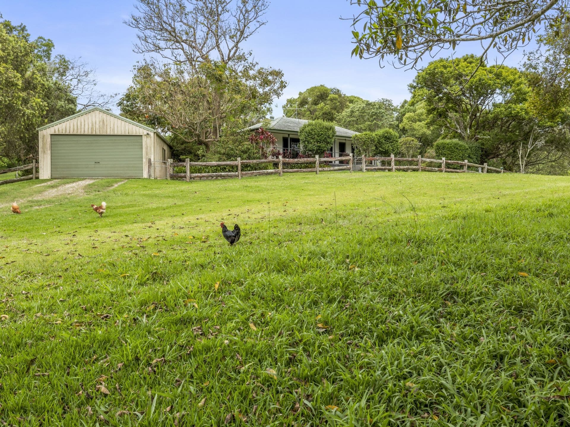 937 North Bank Road RALEIGH NSW, Raleigh - Thumbnail 5