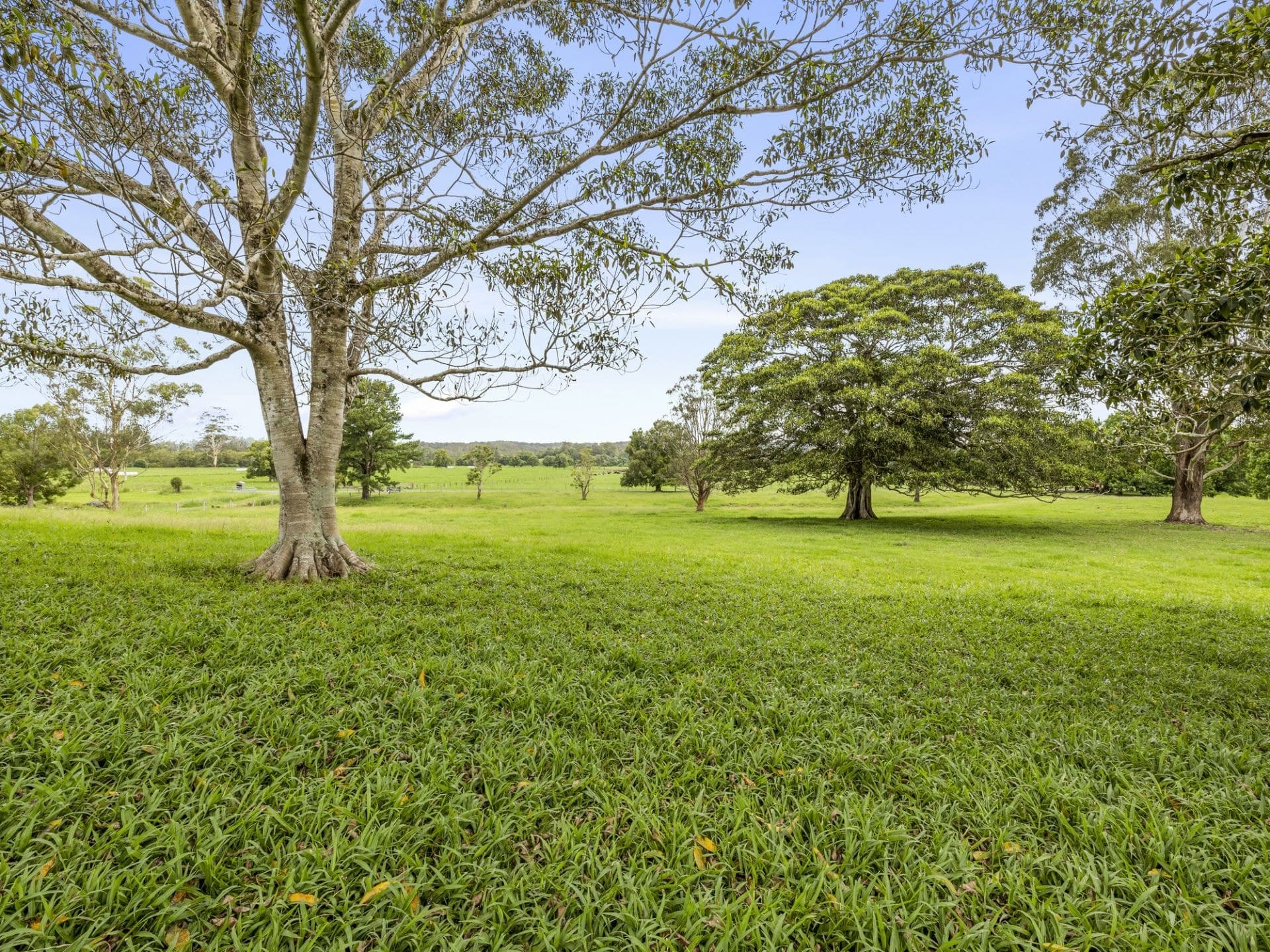 937 North Bank Road RALEIGH NSW, Raleigh - Thumbnail 6