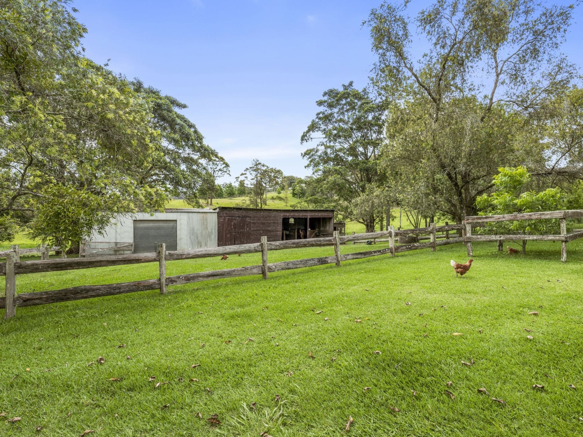 937 North Bank Road RALEIGH NSW, Raleigh - Thumbnail 7