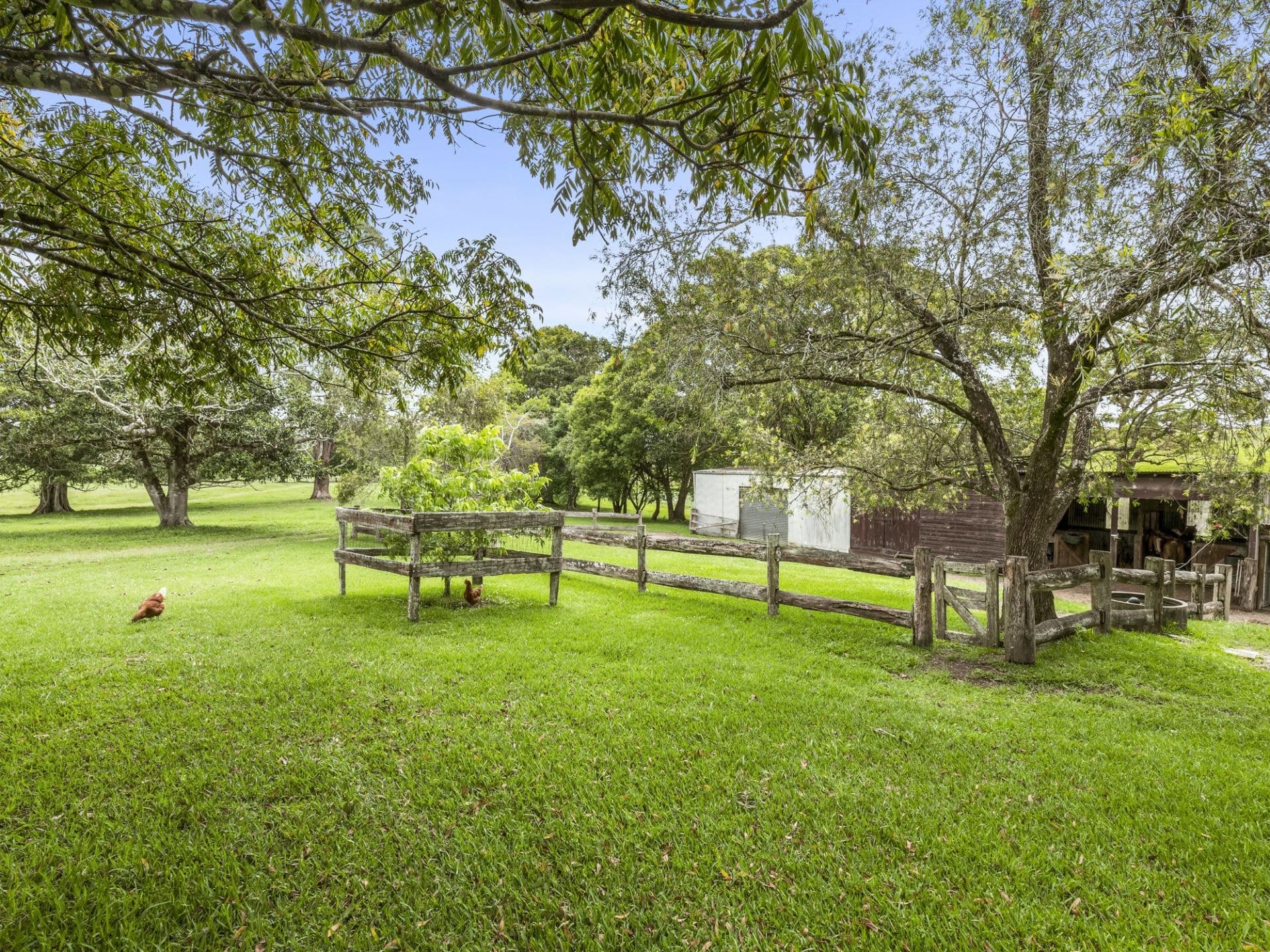937 North Bank Road RALEIGH NSW, Raleigh - Thumbnail 8
