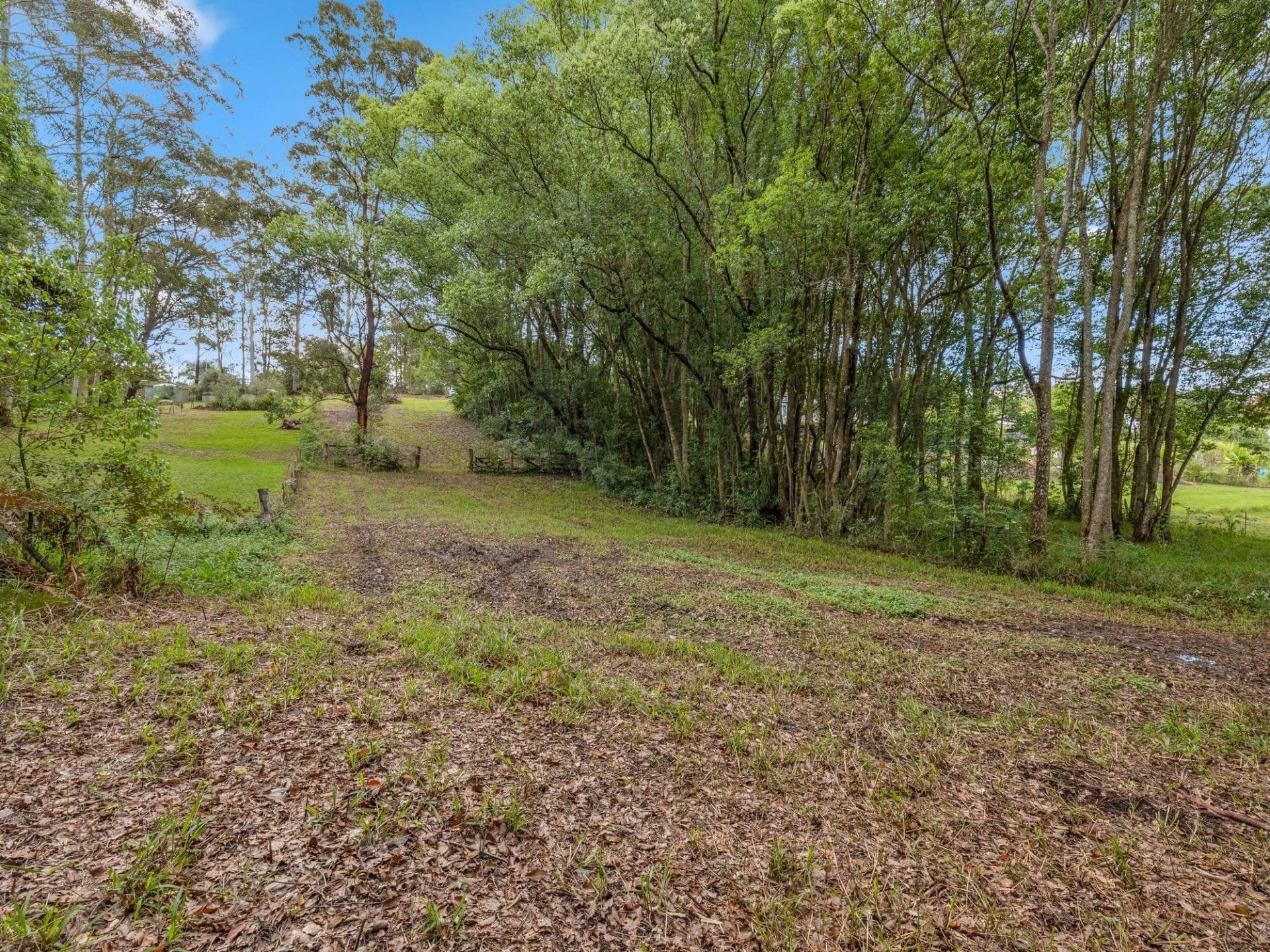 15 Hyde Street FERNMOUNT NSW, Fernmount - Thumbnail 2