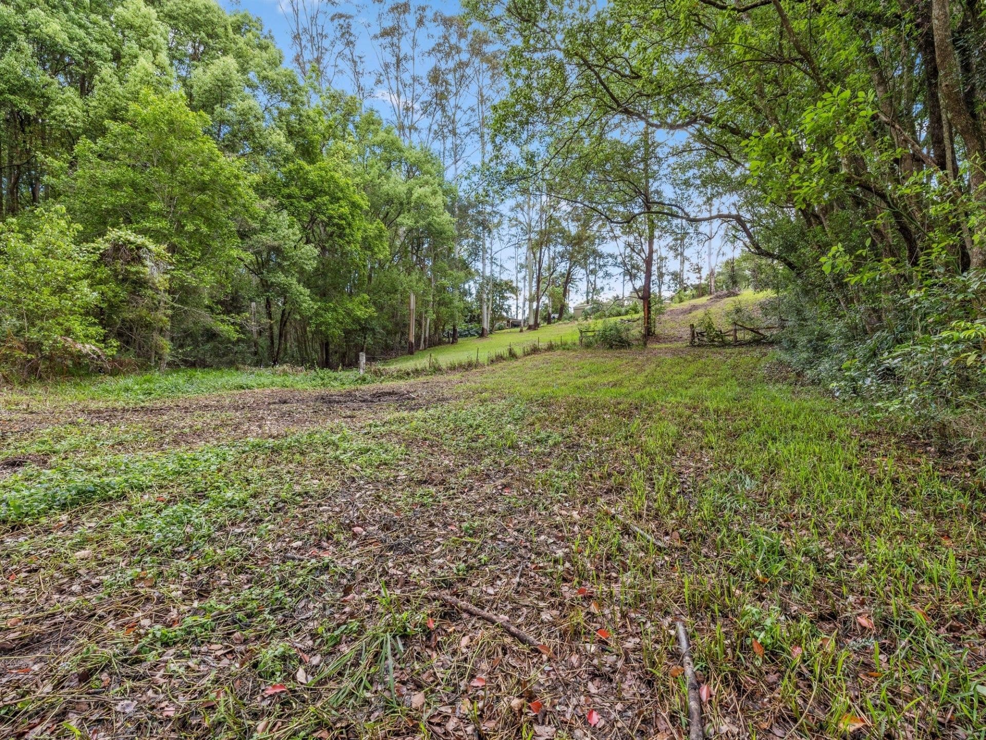 15 Hyde Street FERNMOUNT NSW, Fernmount - Thumbnail 4