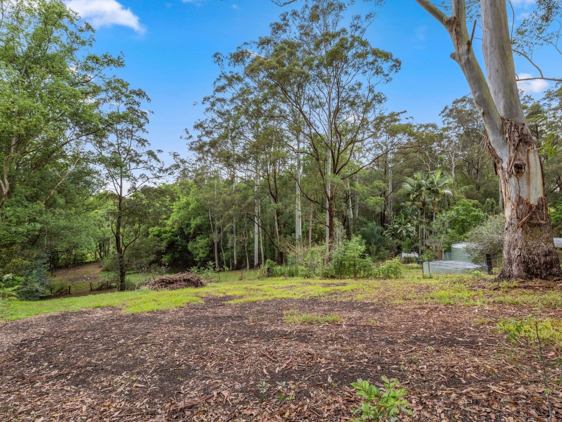 15 Hyde Street FERNMOUNT NSW, Fernmount - Thumbnail 5