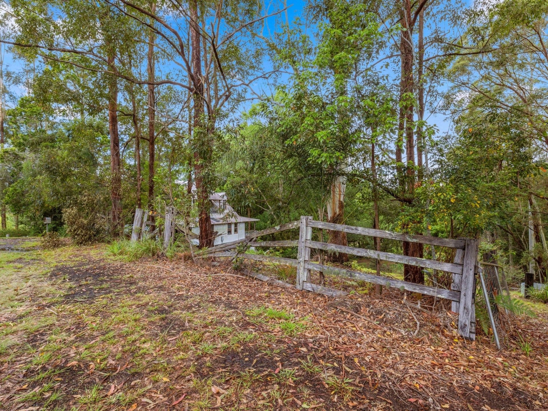 15 Hyde Street FERNMOUNT NSW, Fernmount - Thumbnail 7