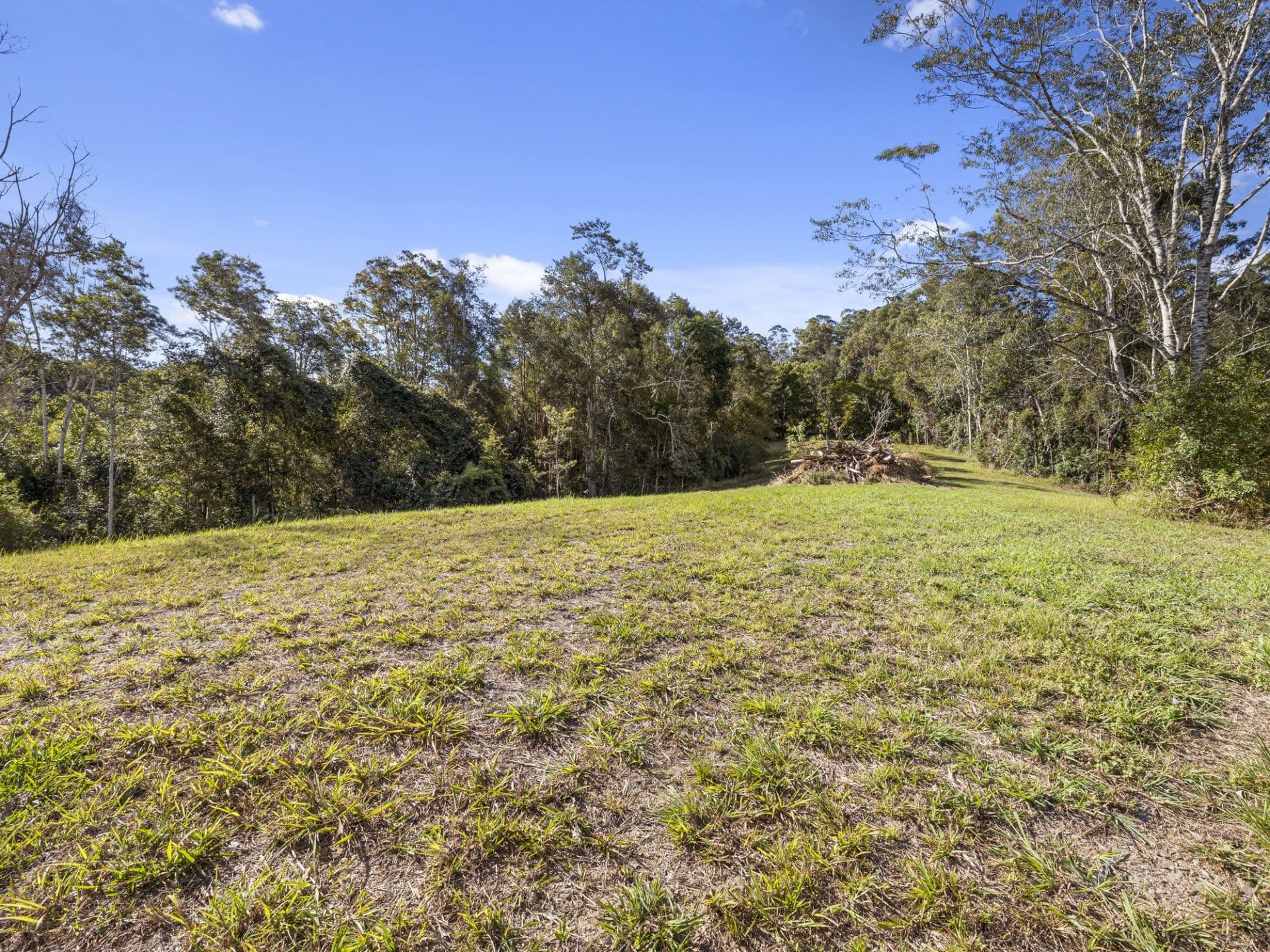 408 Bowraville Road BRIERFIELD NSW, Brierfield - Thumbnail 3