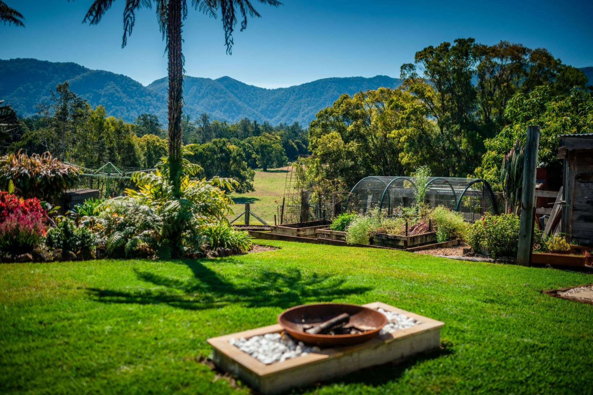 674 Timboon Road GLENIFFER NSW, Gleniffer - Thumbnail 2