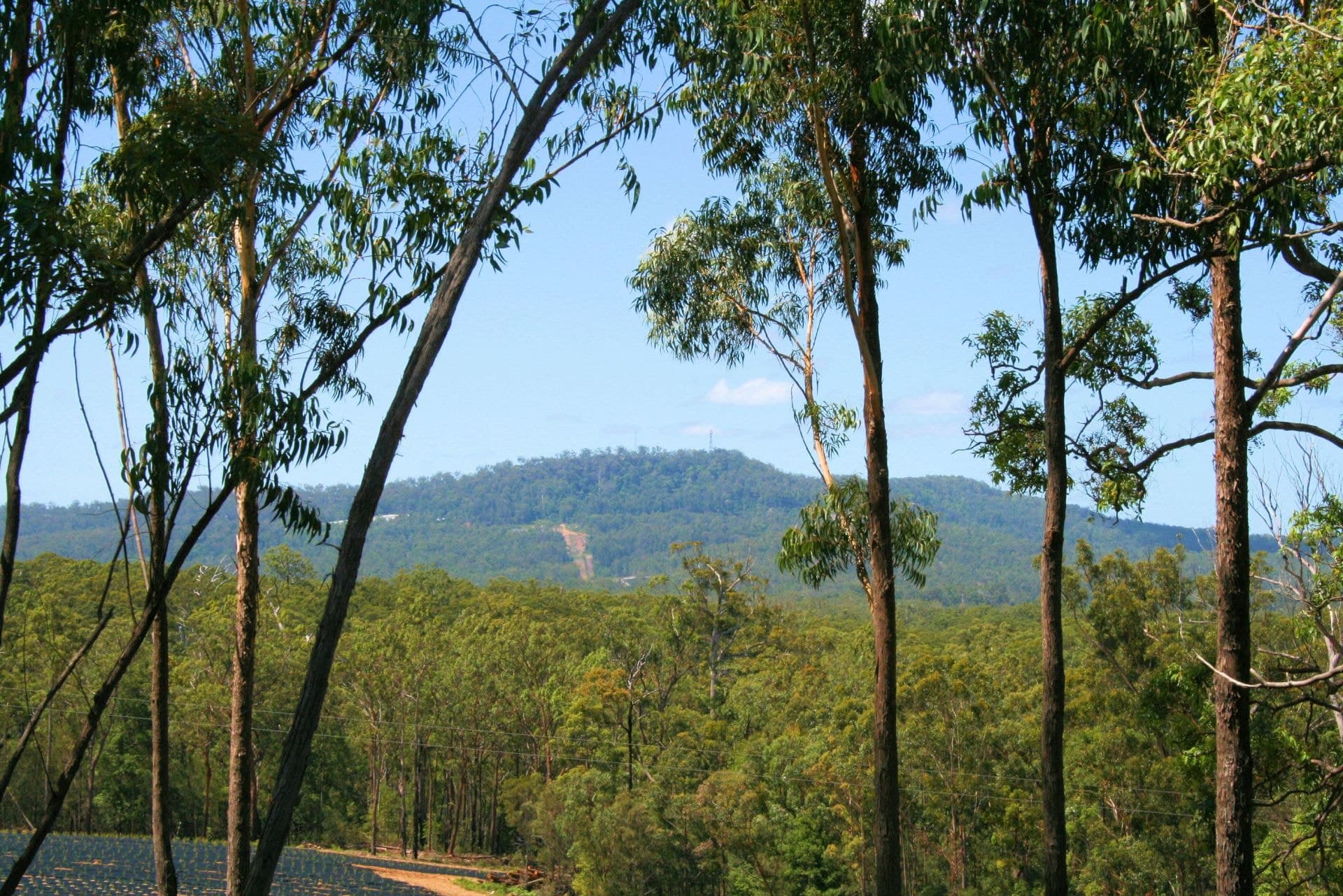 57 Red Range Road UPPER CORINDI NSW, Upper Corindi - Image 1