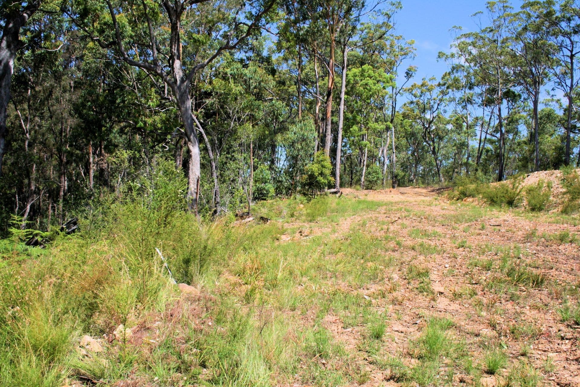 57 Red Range Road UPPER CORINDI NSW, Upper Corindi - Thumbnail 3