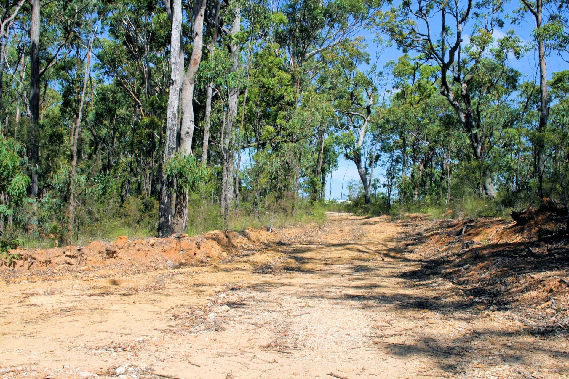 57 Red Range Road UPPER CORINDI NSW, Upper Corindi - Thumbnail 4