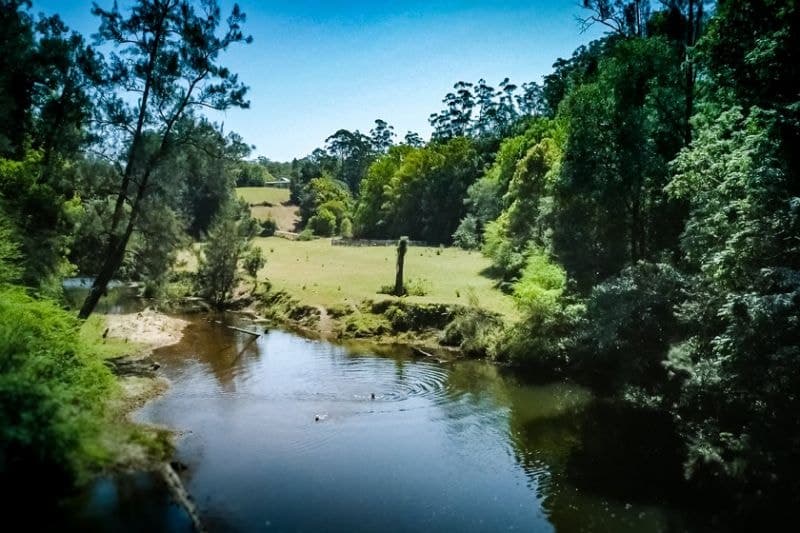 184 Kalang Road BELLINGEN NSW, Bellingen - Thumbnail 2