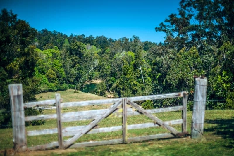 184 Kalang Road BELLINGEN NSW, Bellingen - Thumbnail 4