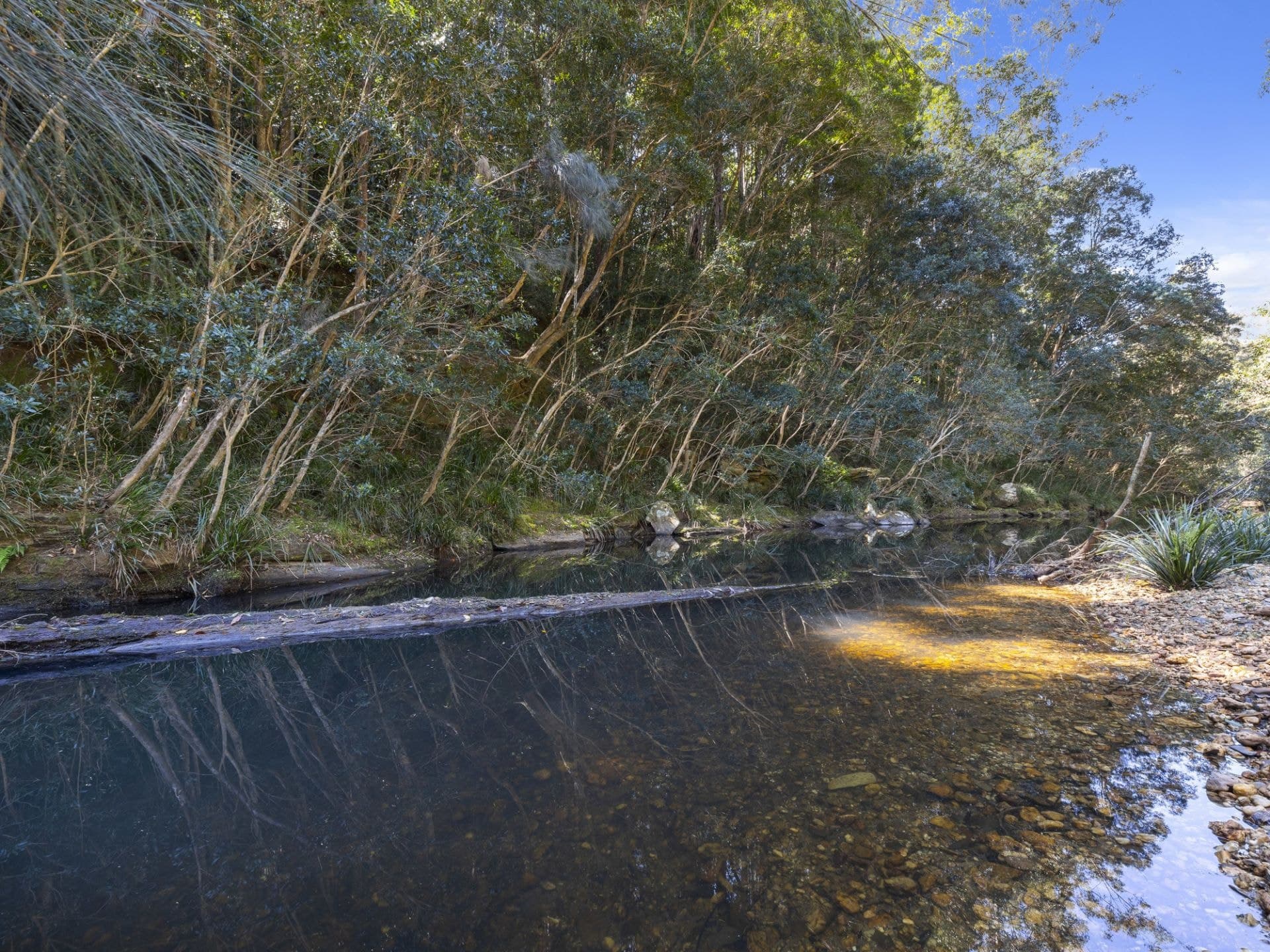 1058 Kalang Road KALANG NSW, Kalang - Thumbnail 3