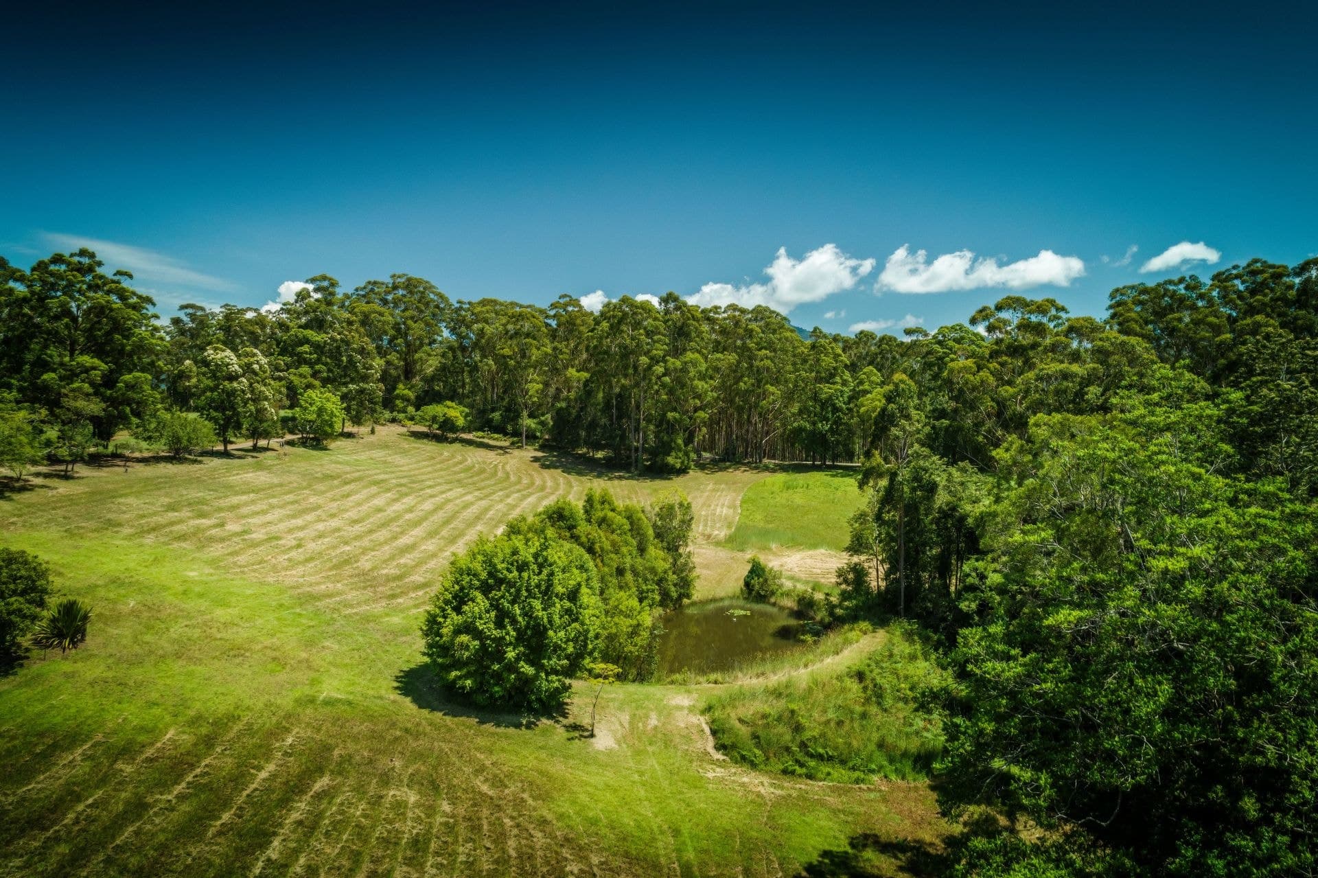 17 Briggenshaws Road Valery BELLINGEN NSW, Bellingen - Thumbnail 4