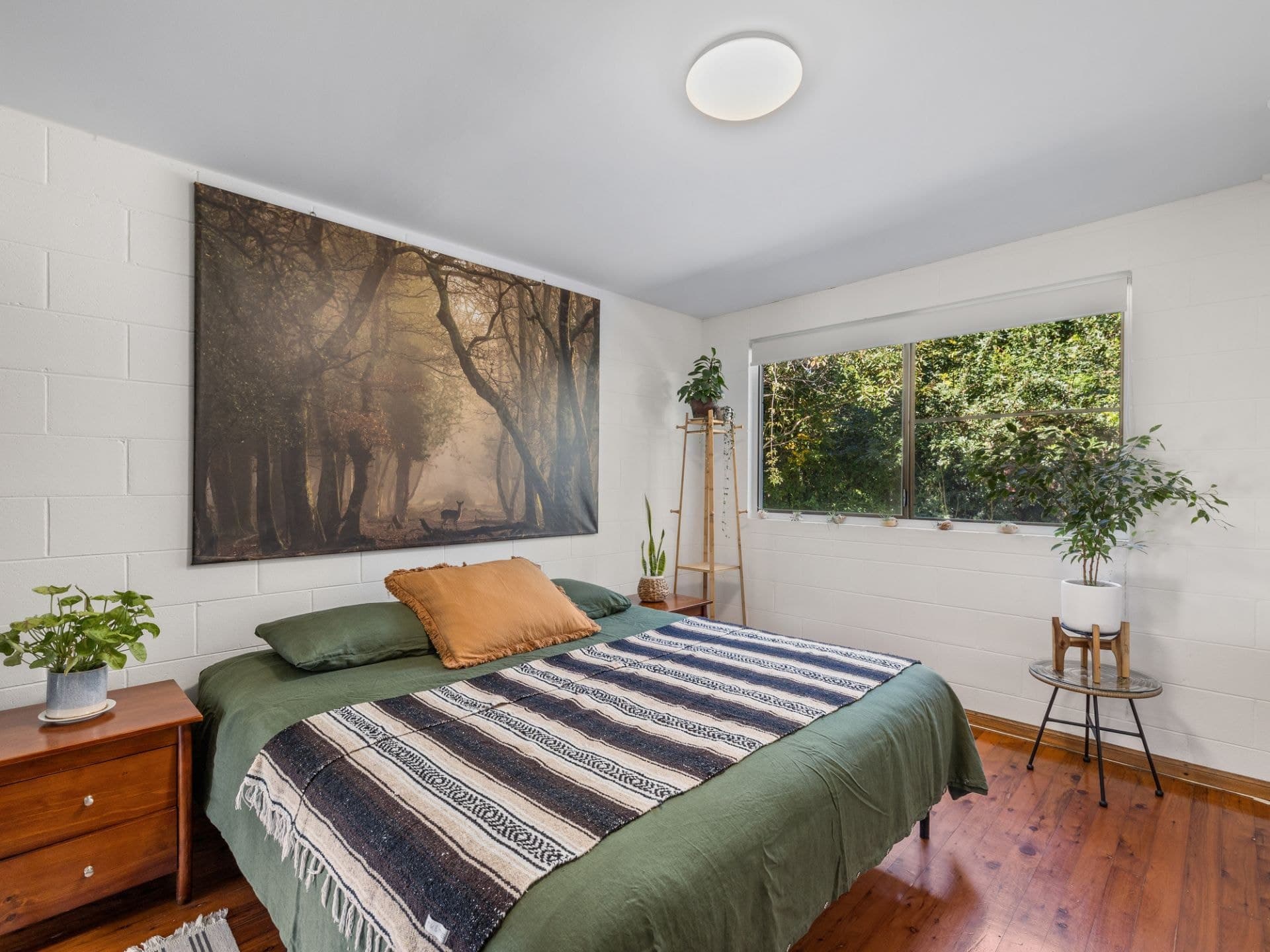 3 Sara Place BELLINGEN NSW, Bellingen - Thumbnail 8
