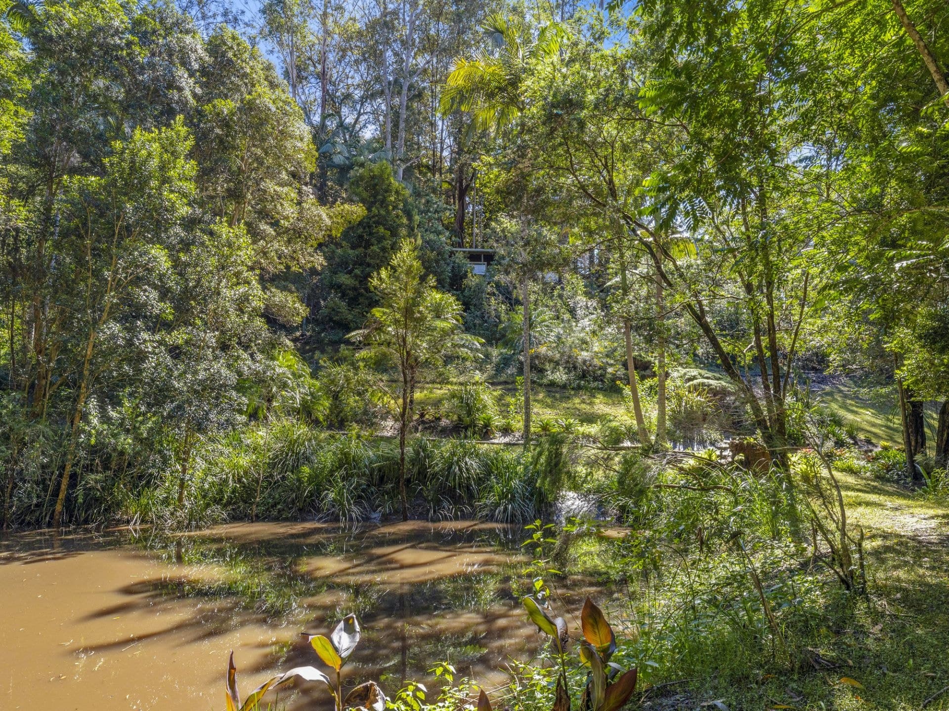 4 Evans Street BELLINGEN NSW, Bellingen - Thumbnail 4
