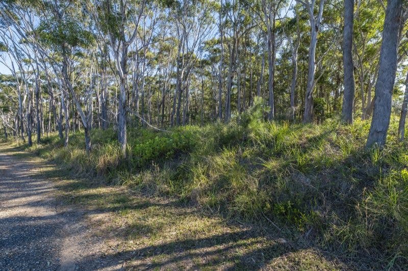 80 Coral Street CORINDI BEACH NSW, Corindi Beach - Thumbnail 2