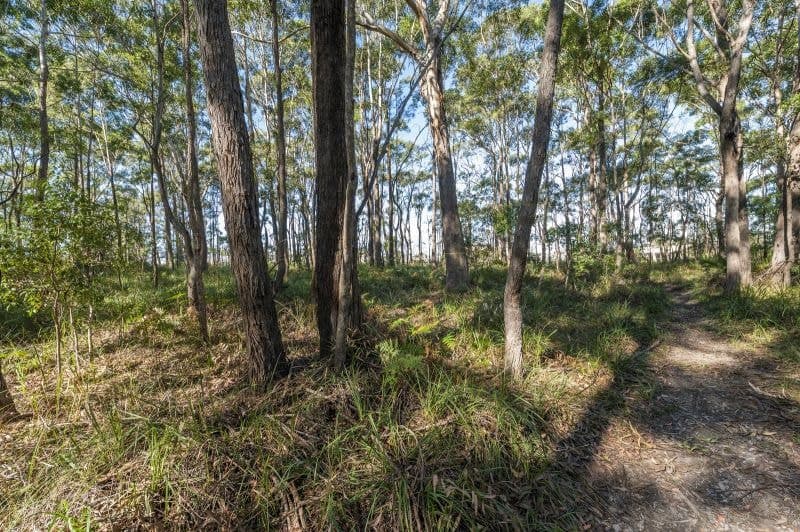 80 Coral Street CORINDI BEACH NSW, Corindi Beach - Thumbnail 5