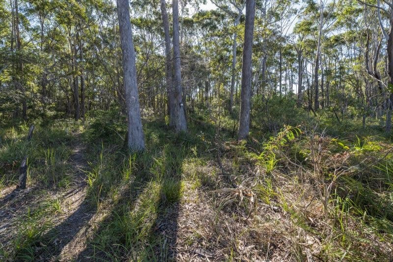 80 Coral Street CORINDI BEACH NSW, Corindi Beach - Thumbnail 6