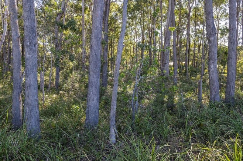 80 Coral Street CORINDI BEACH NSW, Corindi Beach - Thumbnail 7