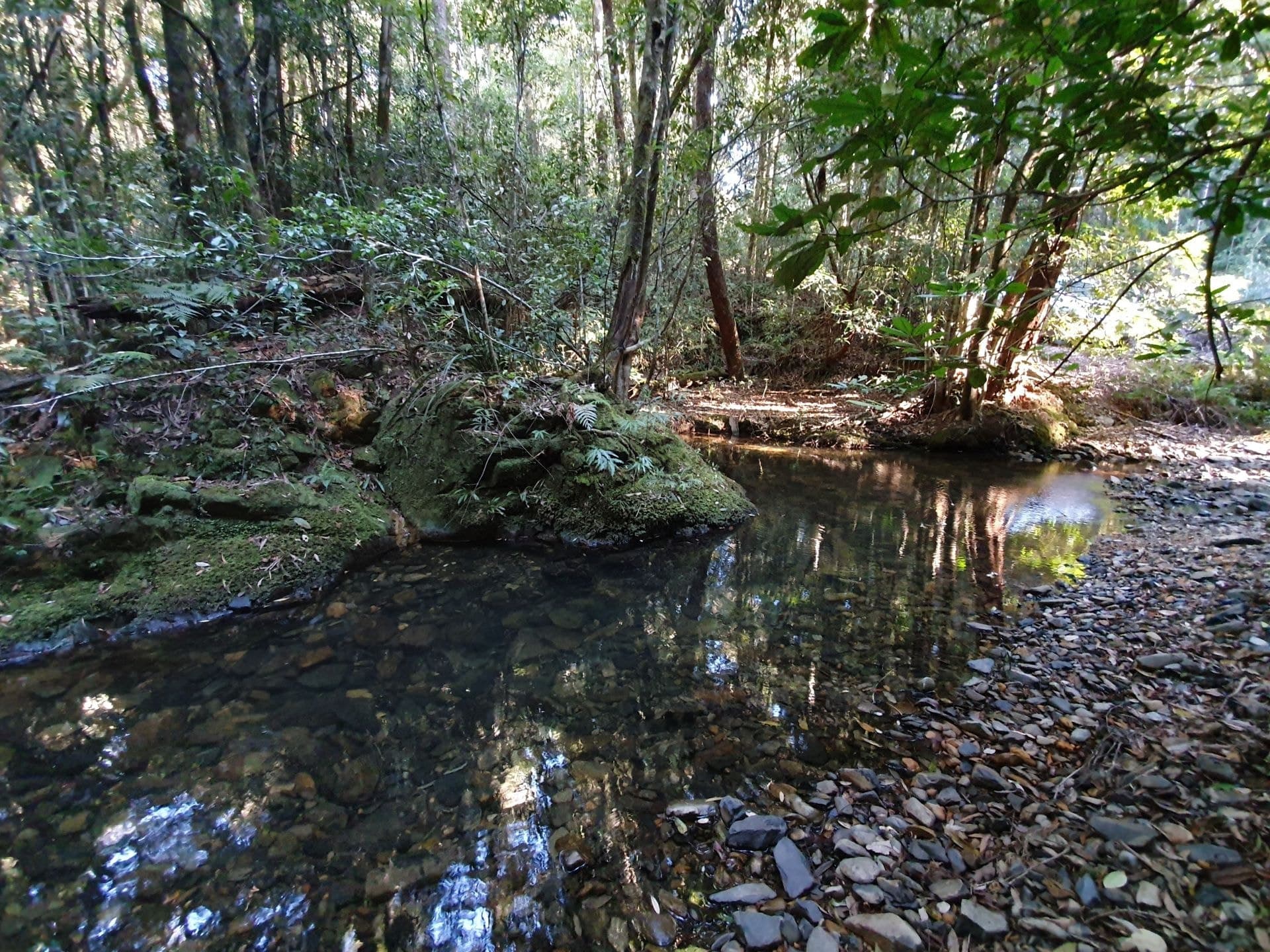 Lot 102 Eve Creek Rd BROOKLANA NSW, Brooklana - Thumbnail 2