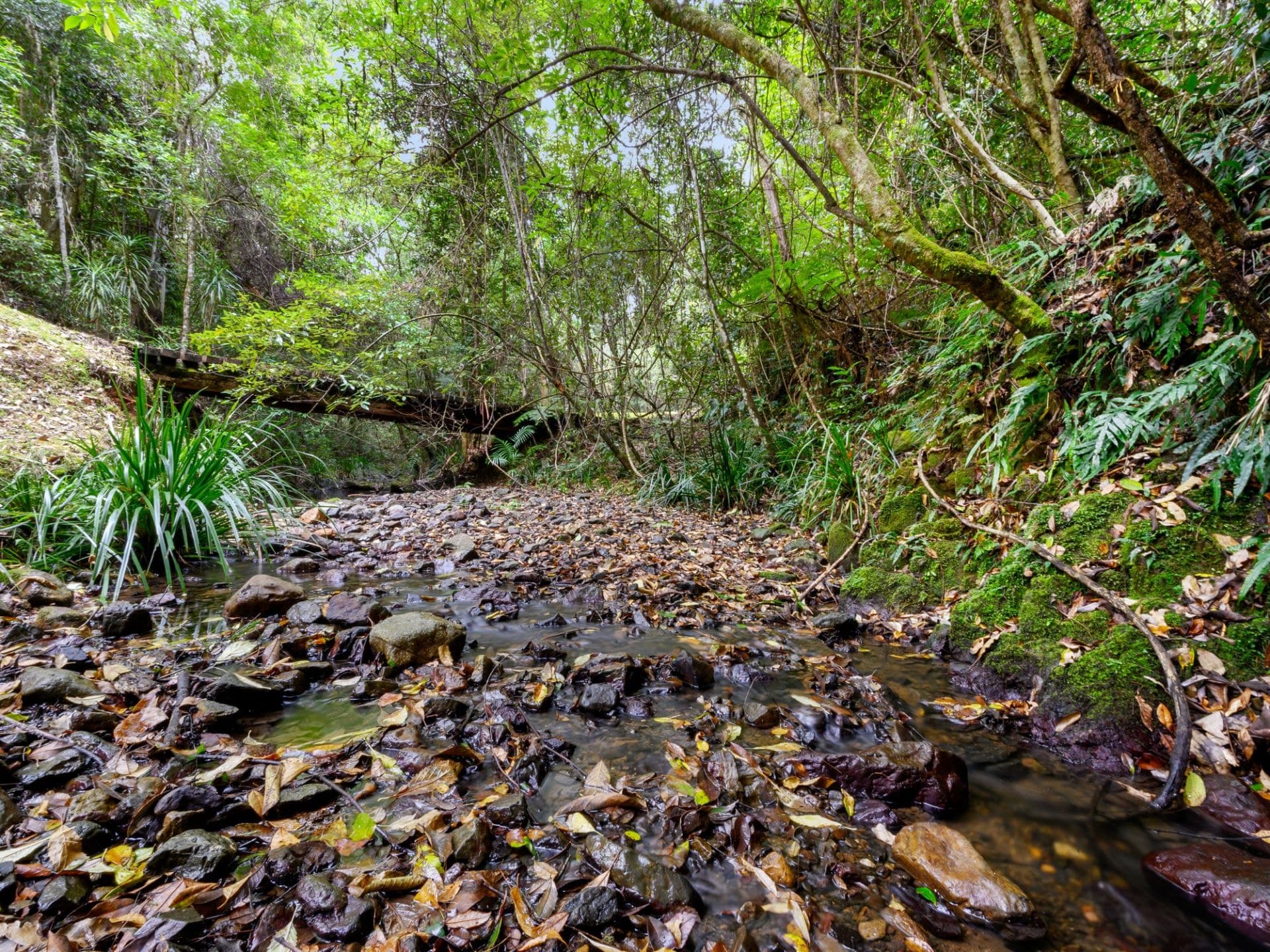 69 McGraths Road BELLINGEN NSW, Bellingen - Thumbnail 2