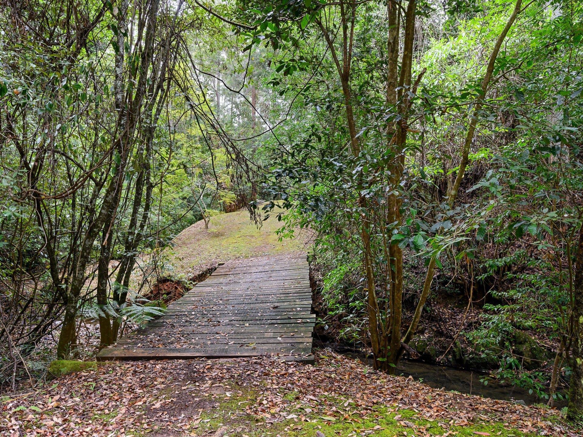 69 McGraths Road BELLINGEN NSW, Bellingen - Thumbnail 4