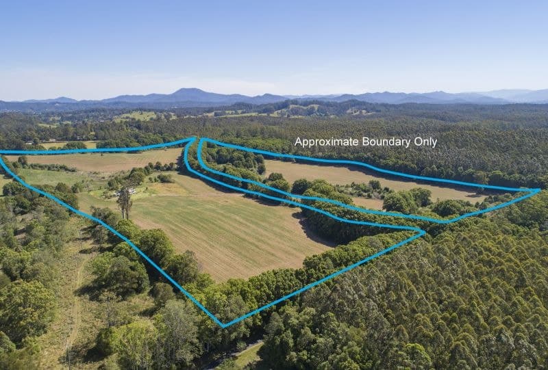 555 Hydes Creek Road BELLINGEN NSW, Bellingen - Image 1