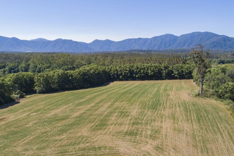 555 Hydes Creek Road BELLINGEN NSW, Bellingen - Thumbnail 4