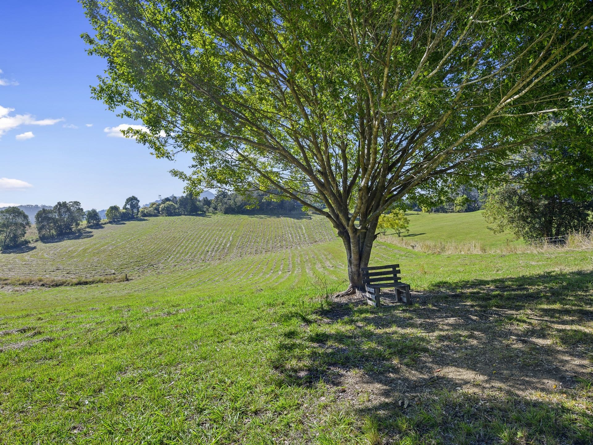 56 Mitchells Road VALLA NSW, Valla - Thumbnail 2