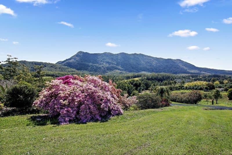 2455 Waterfall Way BELLINGEN NSW, Bellingen - Thumbnail 4