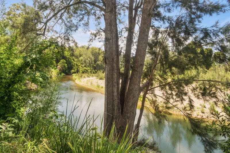 1724 Waterfall Way BELLINGEN NSW, Bellingen - Thumbnail 7